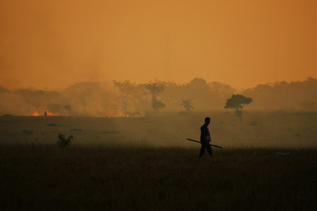 MDBs deliver record $137 billion in climate finance in 2024